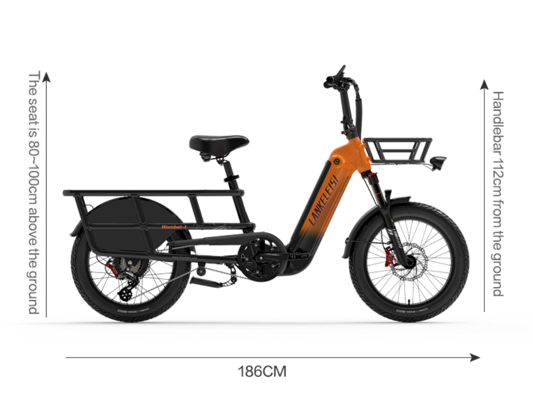 LANKELEISI Wombat-1 1000W Long Range Cargo Electric Bike